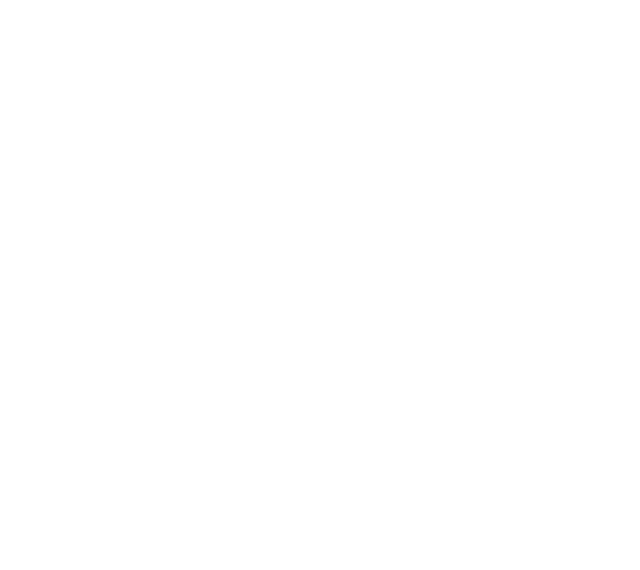 LATAM COMPANY